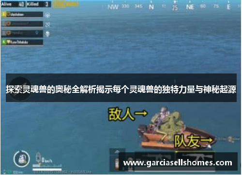 探索灵魂兽的奥秘全解析揭示每个灵魂兽的独特力量与神秘起源